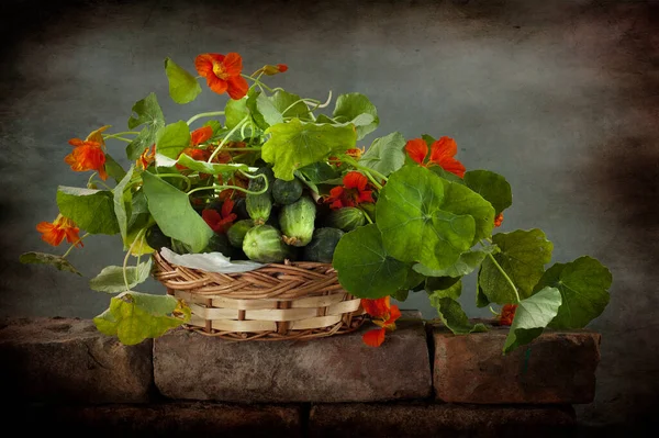 Röda Och Gröna Blommor — Stockfoto