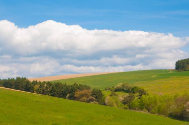 Uzakta bir tarlası olan manzara 
