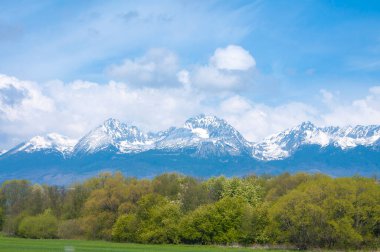 ilkbaharda dağ manzarası 