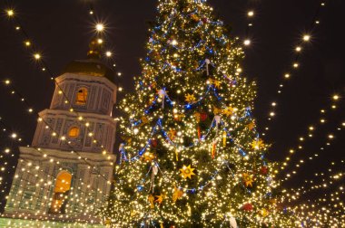 Bir kış akşamında St. Petersburg şehrinde yeni yıl ve noel ağacı. 