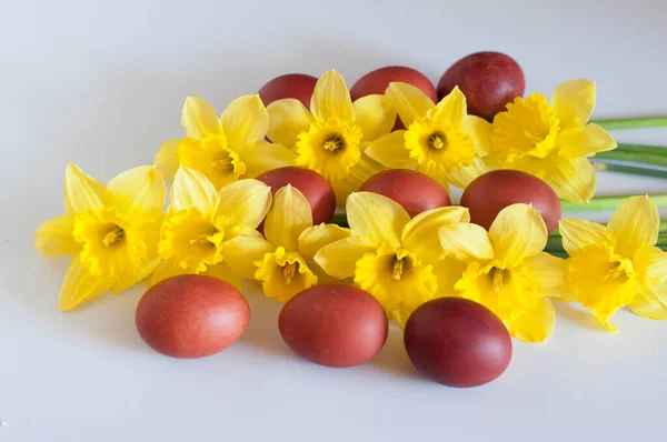 Yellow Red Easter Eggs Yellow Daffodils Yellow Background — Stock Photo, Image