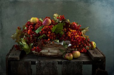 Hayat kırmızı ve sarı elmalar, elmalar ve sonbahar yapraklarıyla dolu. Sonbahar sakin hayat. 