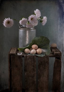 Yumurtalar ve taze otlarla dolu bir hayat. 