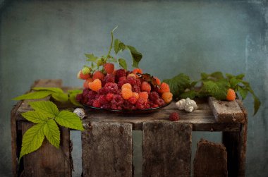 Hayat taze erikler ve kirazlarla dolu 