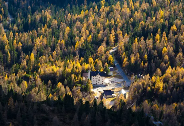 Vista Aérea Floresta Alpina Com Casas Outono Itália — Fotografia de Stock