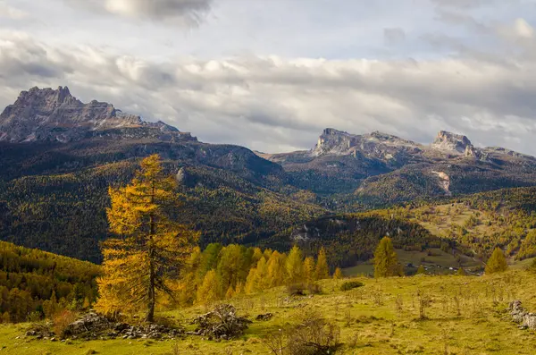 Výhled Skalnatou Horu Žlutými Stromy Zamračeném Podzimním Dni — Stock fotografie