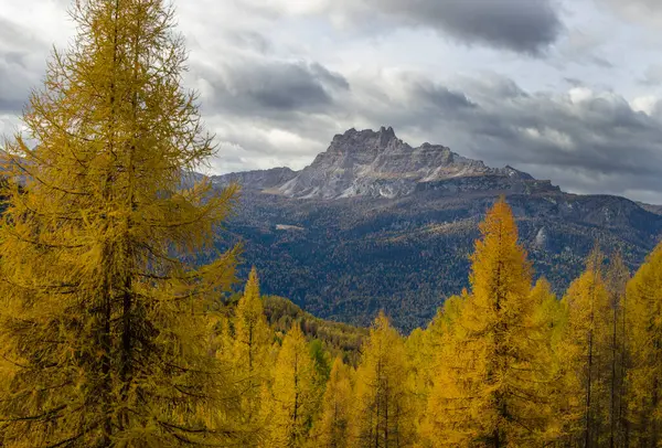 Krásná Podzimní Krajina Horách — Stock fotografie