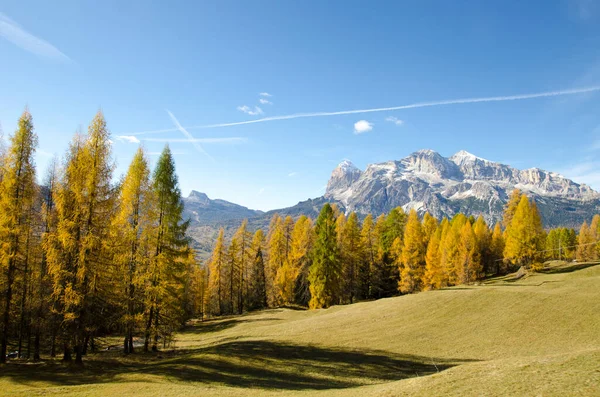 Outono Nos Alpes Italianos Com Árvores Amarelas — Fotografia de Stock