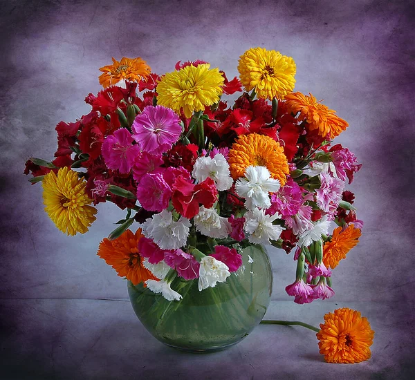 Beautiful Flowers Vase Close — Stock Photo, Image