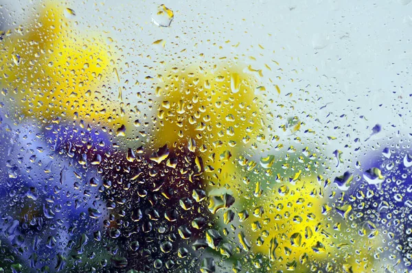 Frühlingsblumen Fenster — Stockfoto