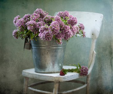 Kaliteli kapta güzel leylak çiçekleri 