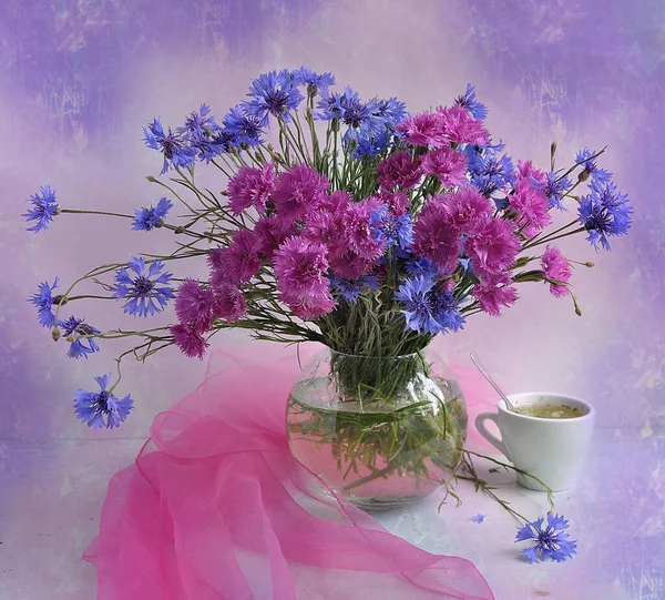 Красивые Цветы Голубом Фоне — стоковое фото