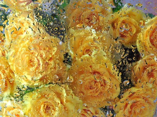 yellow roses with splashes of water and oil. oil drops on canvas. oil painting on canvas. oil paints. oil paint. oil background