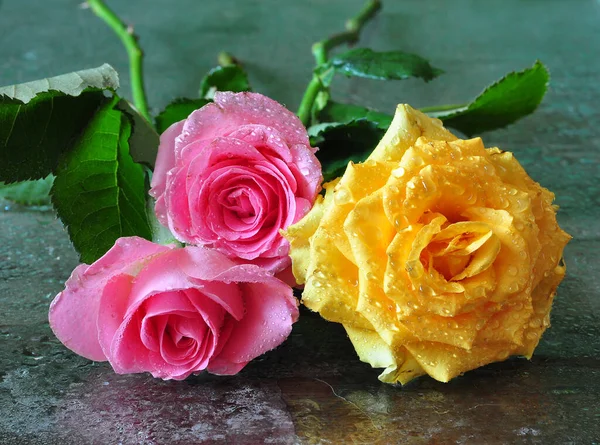 木制背景的鲜黄色玫瑰 — 图库照片