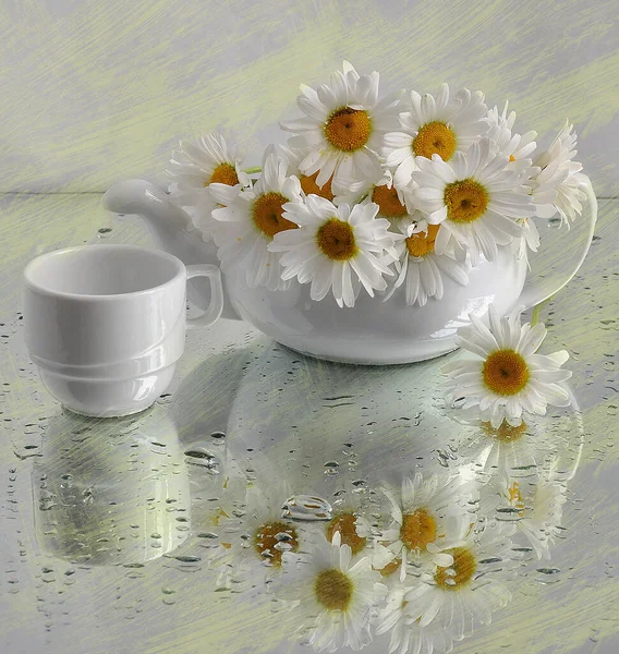Красивые Цветы Ромашка Белой Чашке Желтом Фоне — стоковое фото