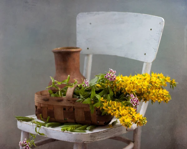 Bahar Çiçekleri Eski Bir Sandalye — Stok fotoğraf