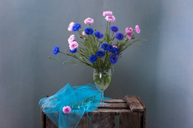 Cam vazo içinde sunulan mavi çiçekler 