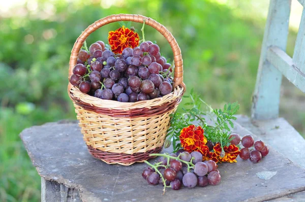 Kosz Świeżych Dojrzałych Czerwonych Winogron — Zdjęcie stockowe