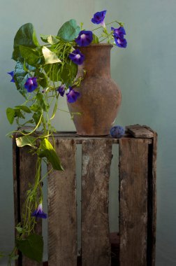 Mavi çiçeklerle dolu sakin bir hayat ve eski bir ahşap sandalye. 