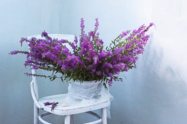 Beyaz vazoda yabani lavanta demeti ve gri arka planda mavi çiçekler. 