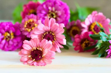 Tahta arka planda güzel bahar çiçekleri 