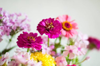 Açık ahşap arka planda pembe ve beyaz bahar çiçekleri. 