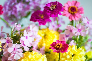 Arka planda güzel çiçekler, kapat 