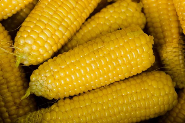 ahşap bir arka plan üzerinde taze mısır 