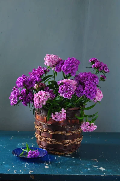 Schöne Blumen Korb — Stockfoto
