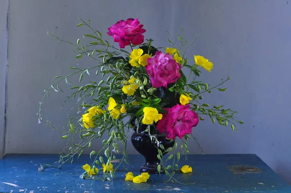 Mavi Arkaplanda Vazodaki Çiçekler — Stok fotoğraf