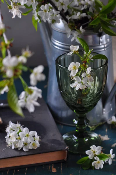 Bahçede bahar çiçekleri. seçici odak 