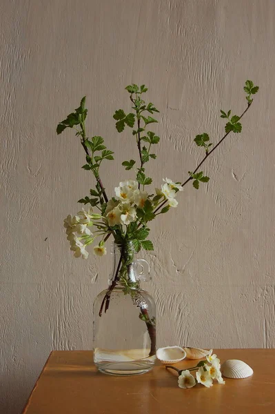 stock image bouquet of white flowers in the vase