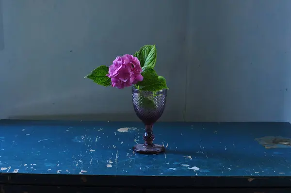 Sabah Masadaki Güzel Çiçek — Stok fotoğraf