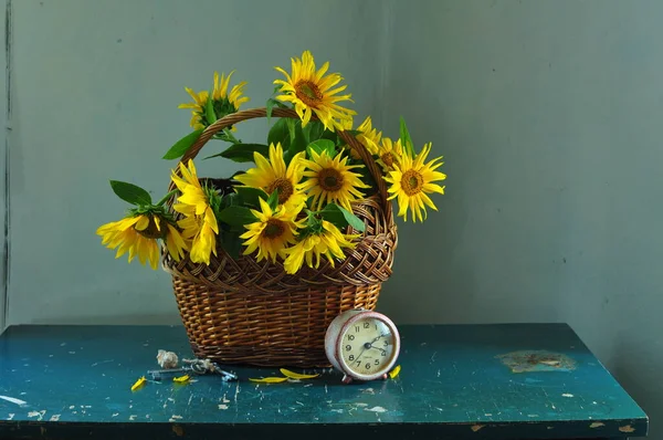 Gelbe Und Weiße Blüten — Stockfoto