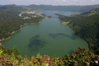 Güzel göl manzarası