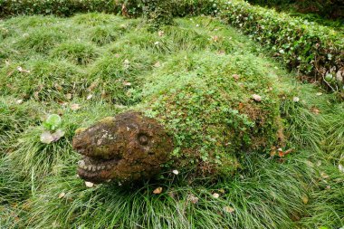 Bahçedeki güzel yeşil çimenler.