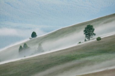 Ukrayna 'daki Karpatlar' da bir çayırda sis ve bulut