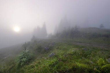 Karpatlarda sisli bir sabah