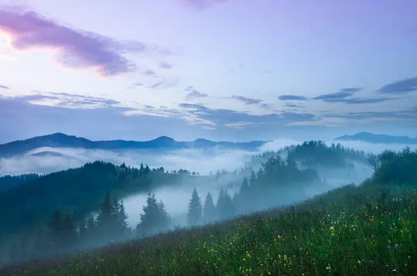 Nevoeiro Matutino Nas Montanhas — Fotografia de Stock