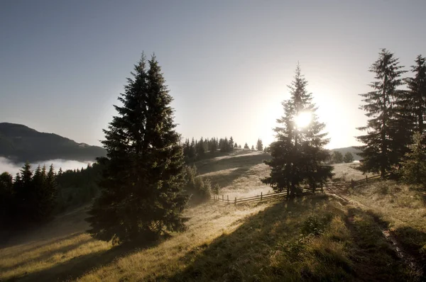 Karpat Dağlarında Gündoğumu