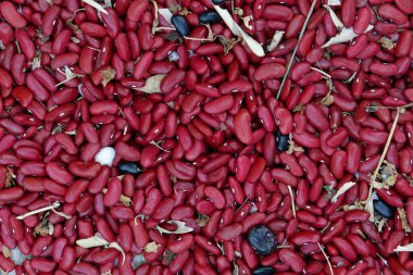 kırmızı ve acı biber