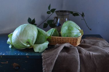 Masada yeşil bir lahanayla hayat