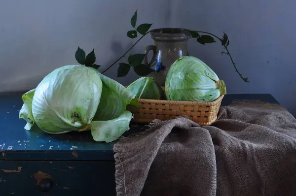 Masada yeşil bir lahanayla hayat