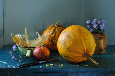 Portakal kabağıyla hayat