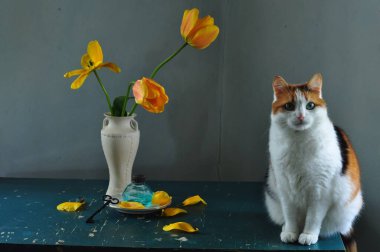 Beyaz arka planda laleleri olan bir kedi