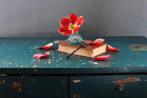 Νεκρή Φύση Λουλούδι Γυάλινο Βάζο Εικόνα Αρχείου