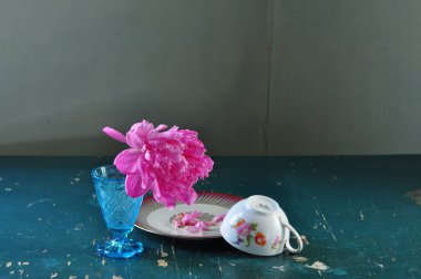 Bahçedeki güzel çiçekler