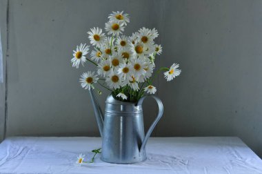 Bir buket beyaz papatyayla sakin bir hayat