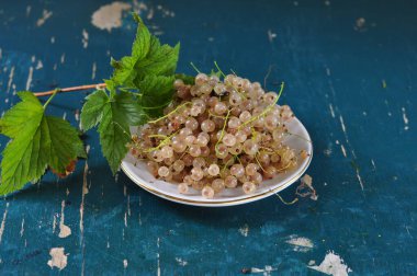 Cam bir kasede bir demet kuş üzümü