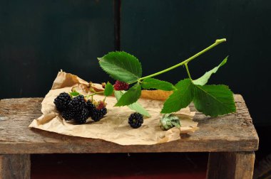 Sepette böğürtlen